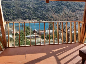 Bona Vista